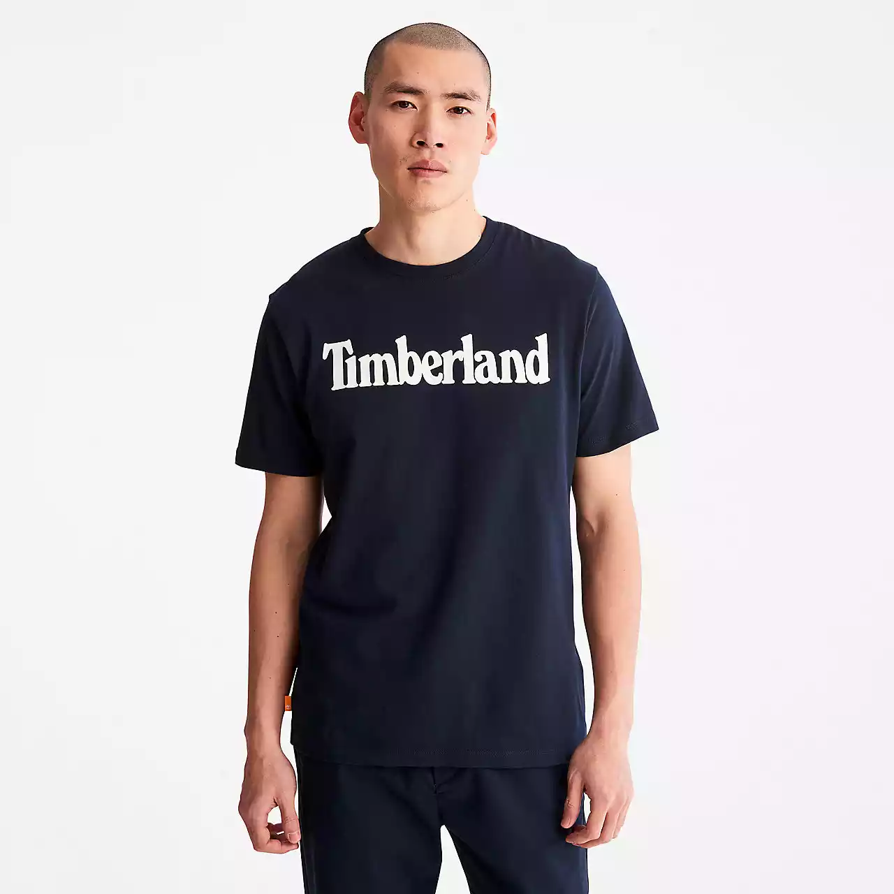 Timberland TB0A2C31