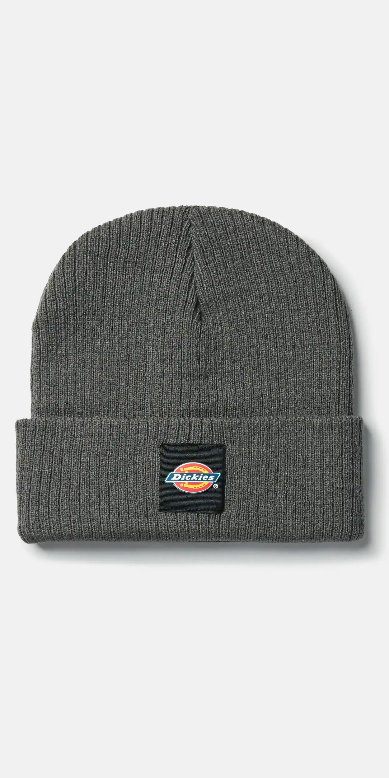 Dickies DK0A4XRY - grey