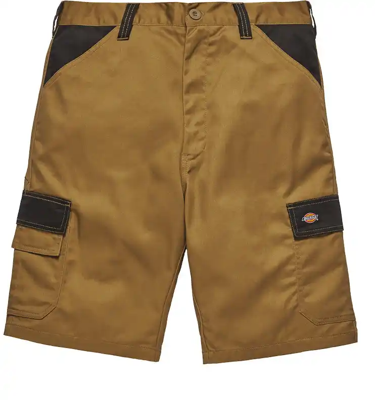 Dickies DK0A4XSG - khaki-beige-black