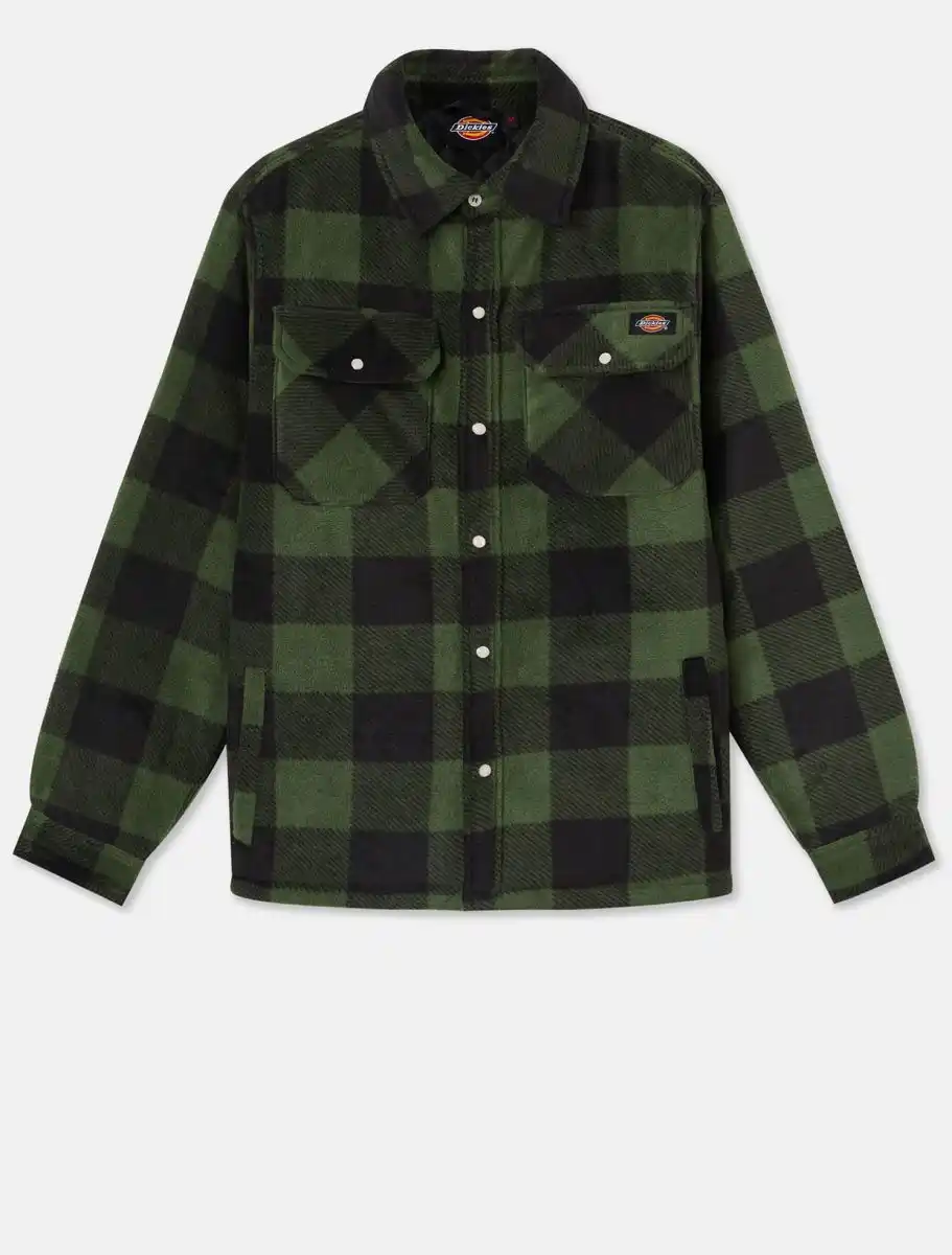 Dickies DK0A4XTA - green-black