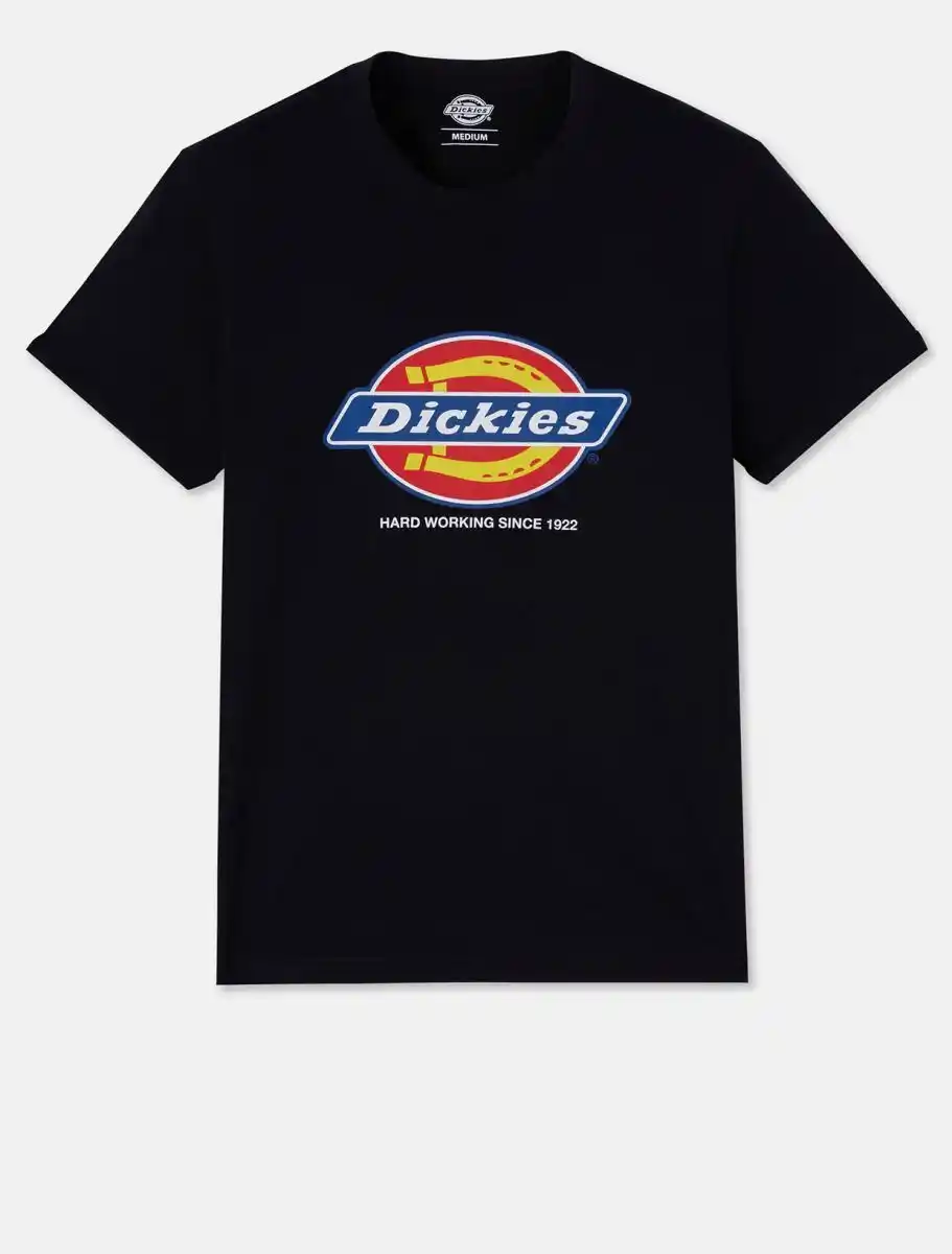 Dickies DK0A4XUD - black