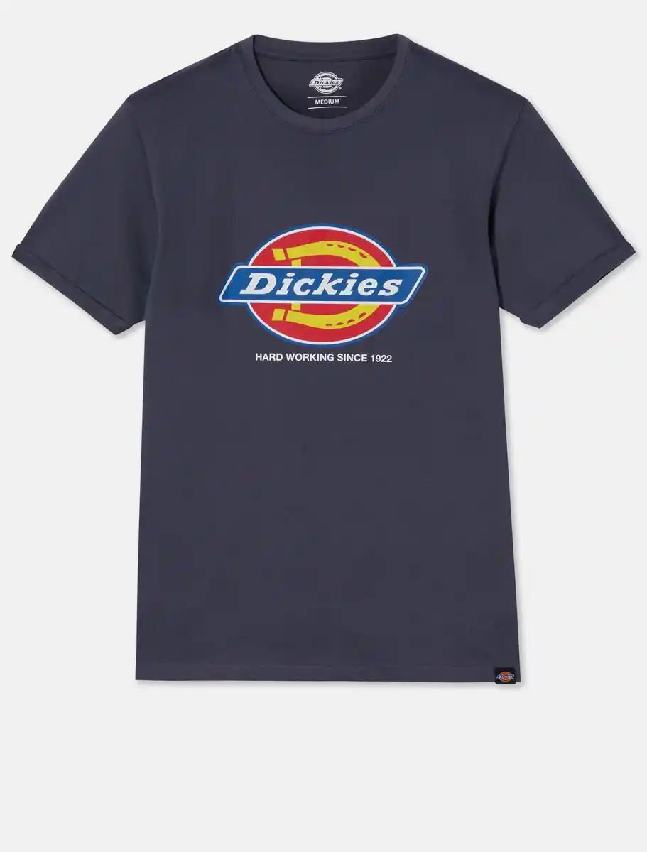 Dickies DK0A4XUD - grey